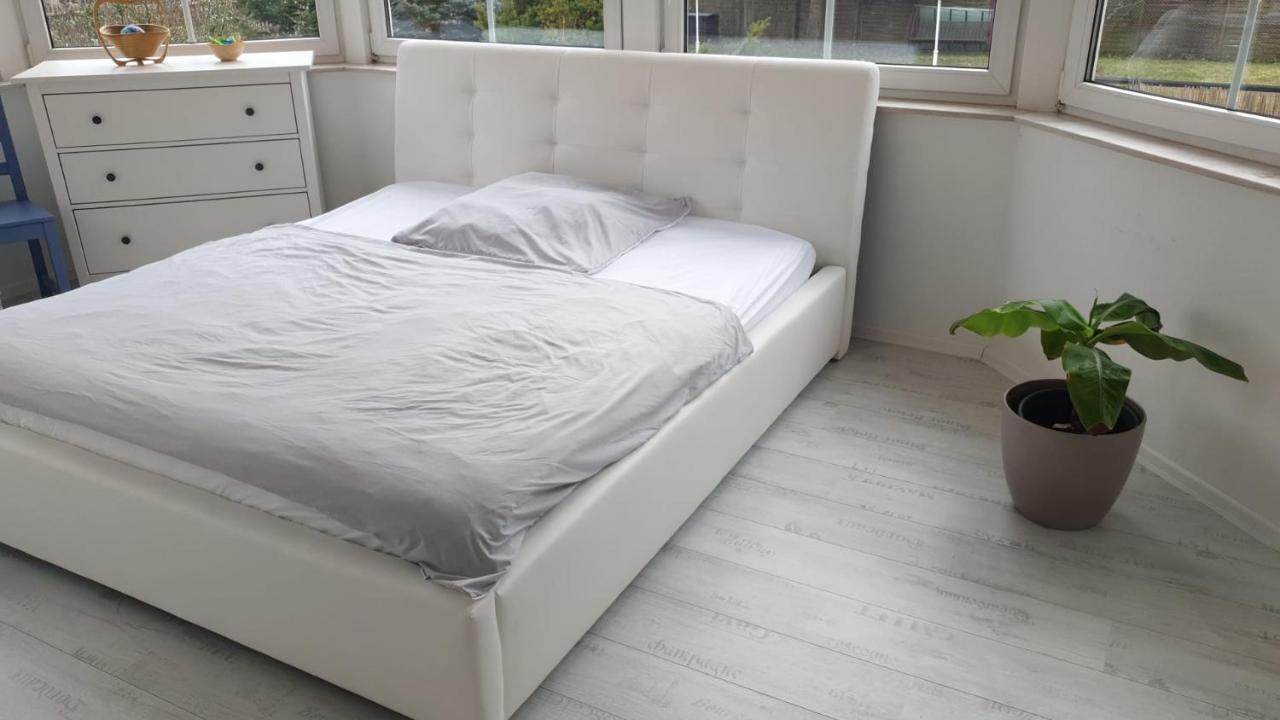Grosse & Voll Ausgestattete Apartments, Studios, Doppelzimmer, Workspace, Parkplatz, Netflix, Prime & Schnelles Wifi In Ruhiger Lage Mit Garten Rudolstadt Kültér fotó