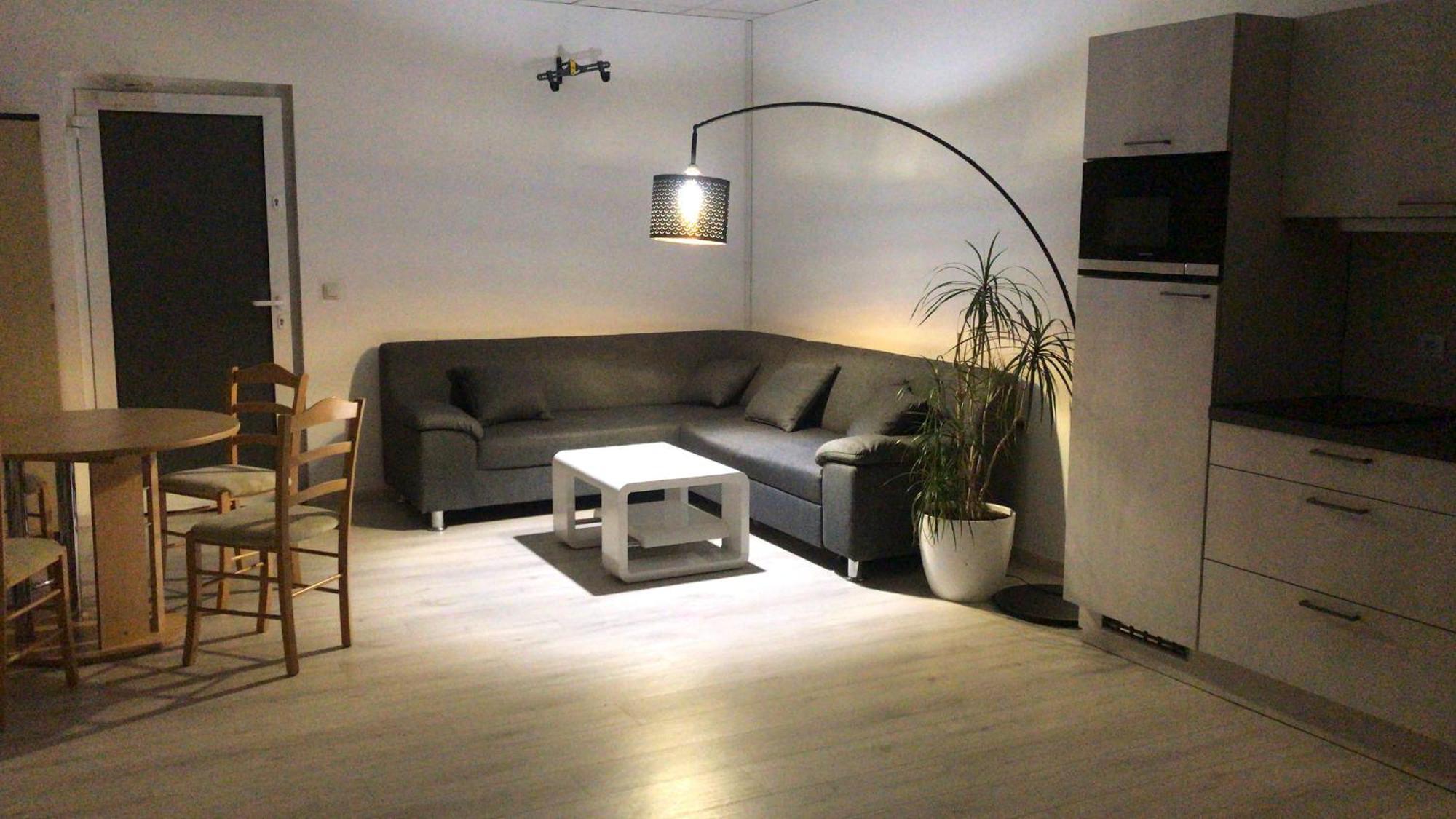 Grosse & Voll Ausgestattete Apartments, Studios, Doppelzimmer, Workspace, Parkplatz, Netflix, Prime & Schnelles Wifi In Ruhiger Lage Mit Garten Rudolstadt Kültér fotó