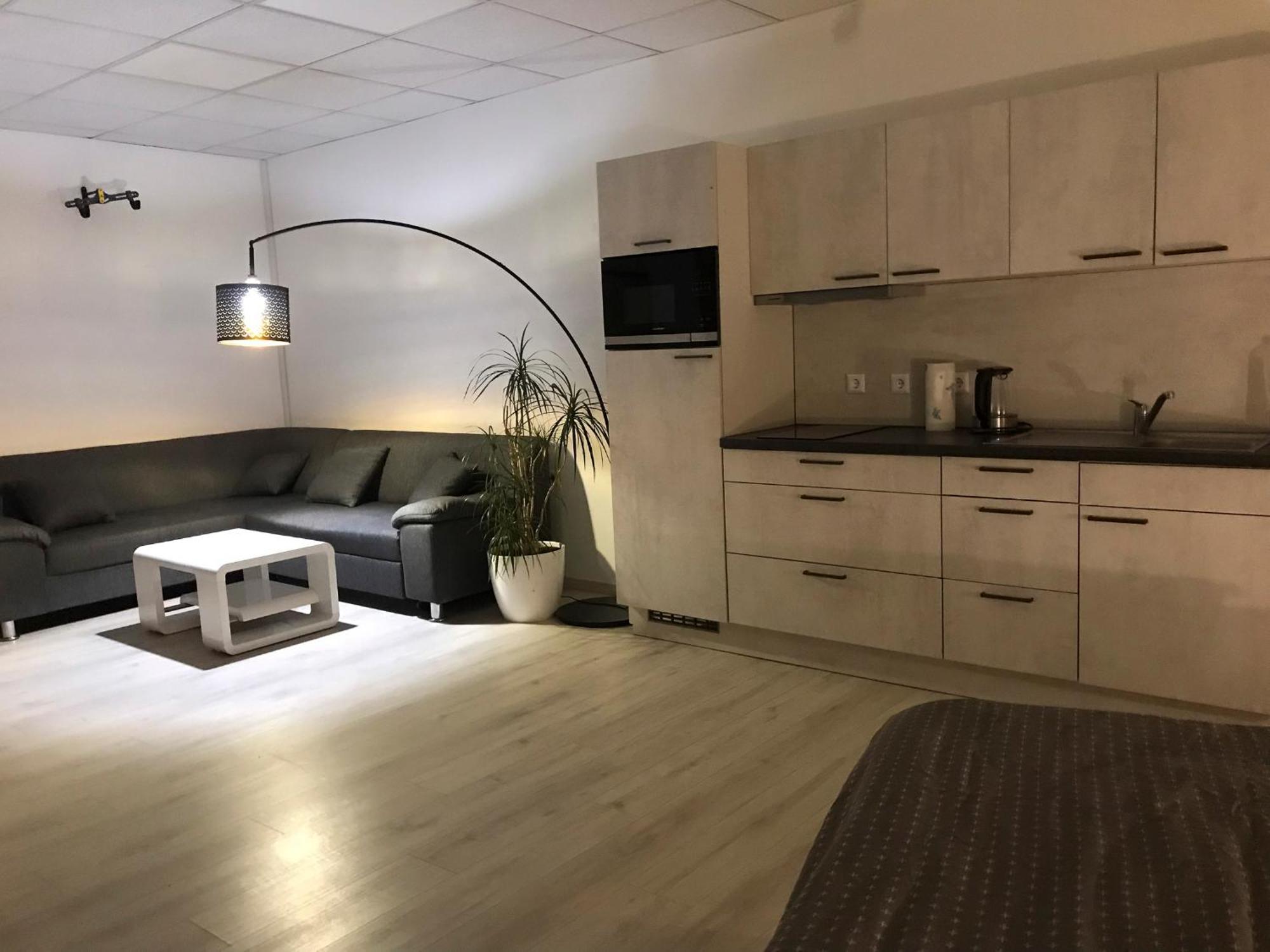 Grosse & Voll Ausgestattete Apartments, Studios, Doppelzimmer, Workspace, Parkplatz, Netflix, Prime & Schnelles Wifi In Ruhiger Lage Mit Garten Rudolstadt Kültér fotó